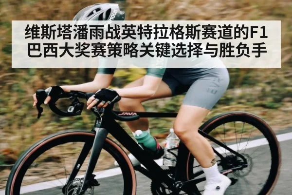 维斯塔潘雨战英特拉格斯赛道的F1巴西大奖赛策略关键选择与胜负手